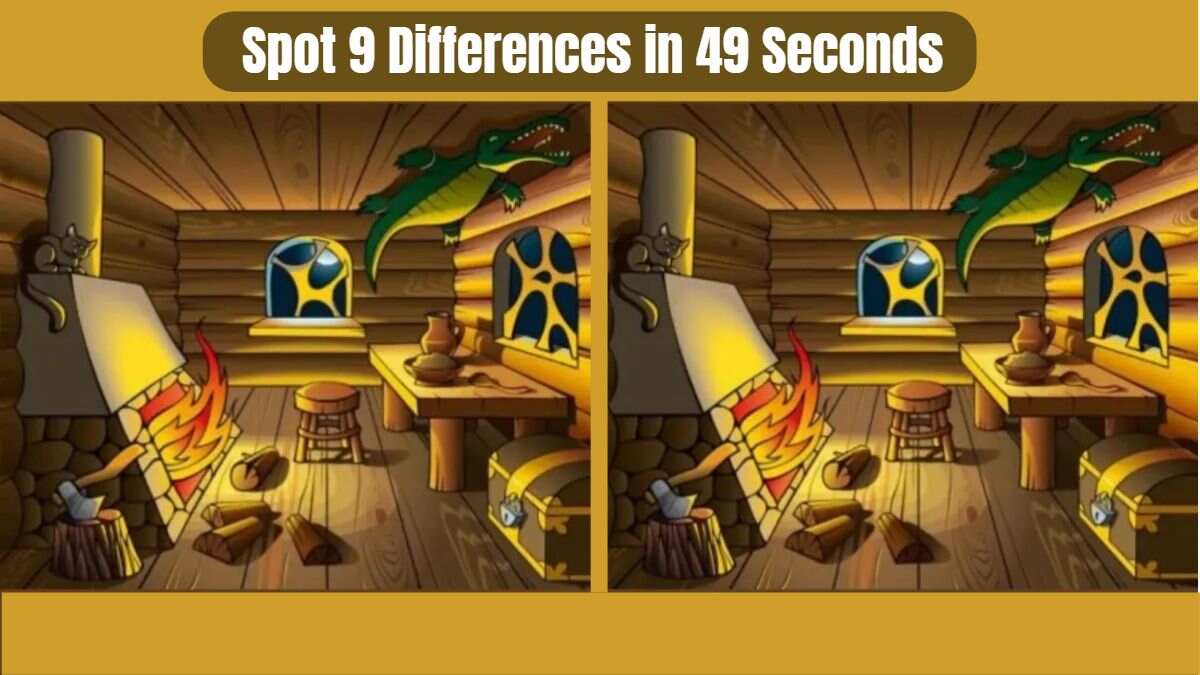 Spot 9 Differences in 49 Seconds