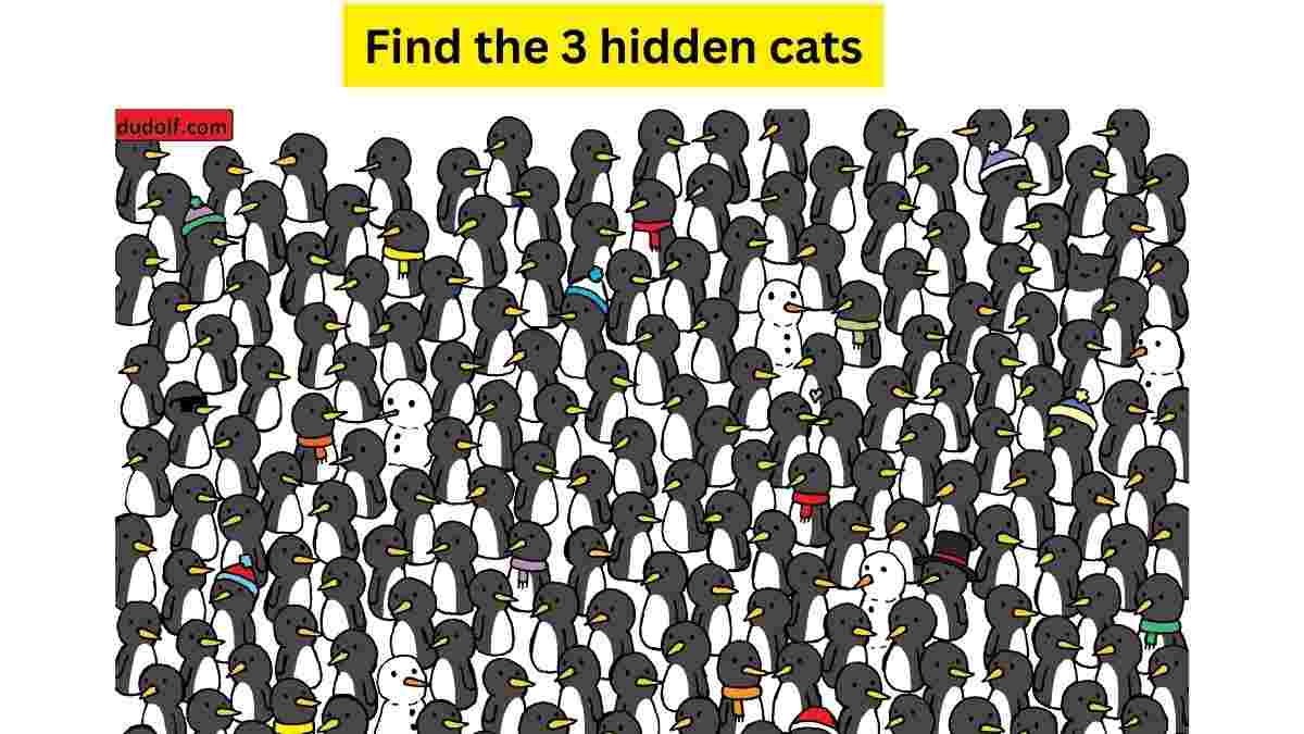 Can you find all the three cats?