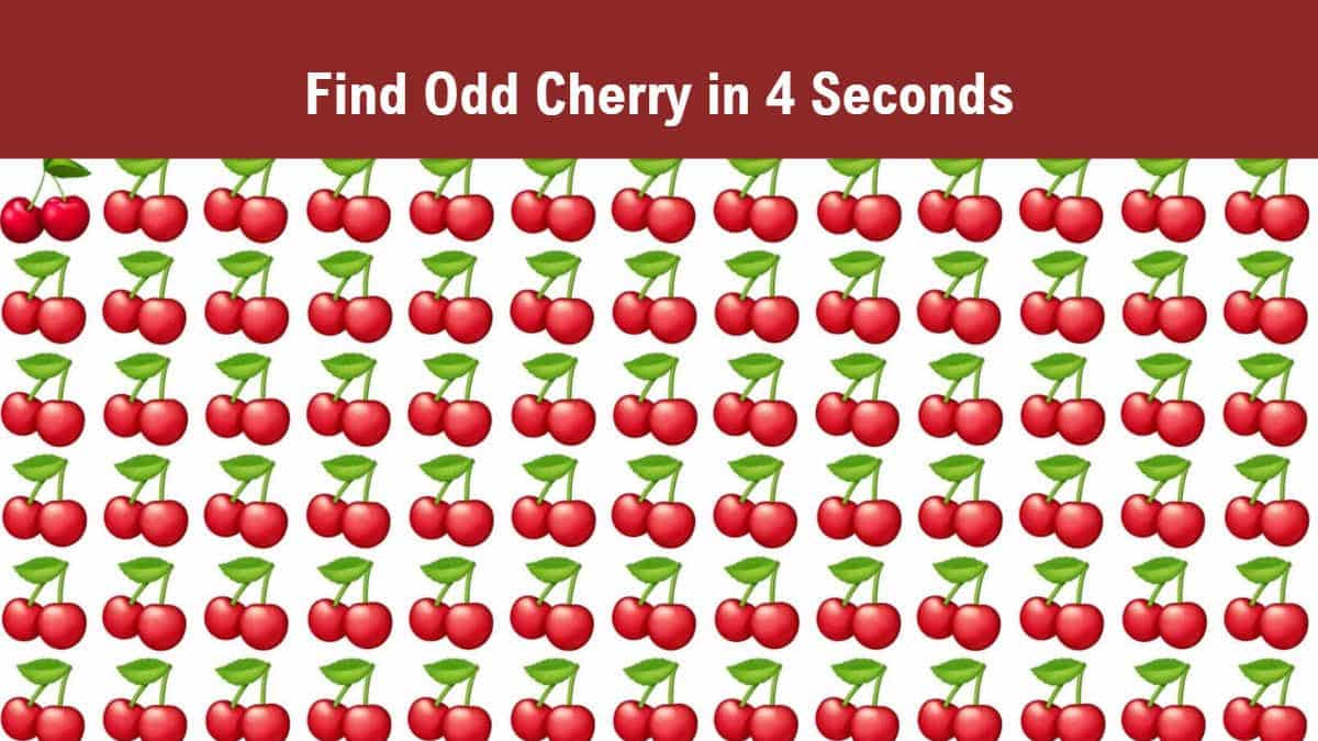 Find Odd Cherry in 4 Seconds