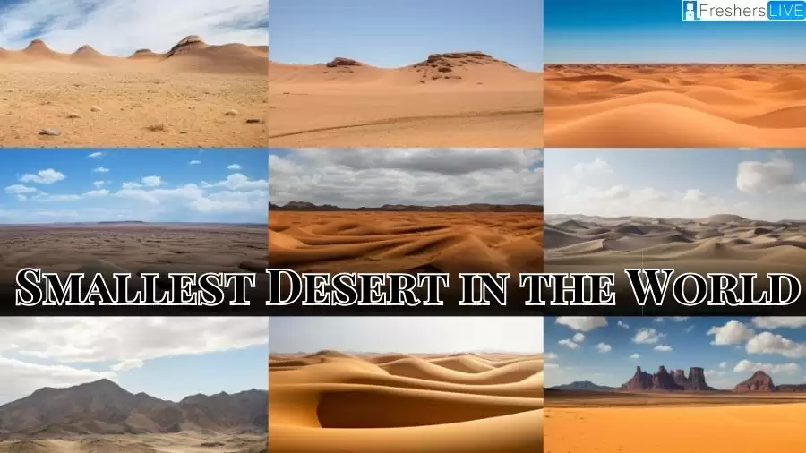 Smallest Desert in the World - Discovering the Top 10
