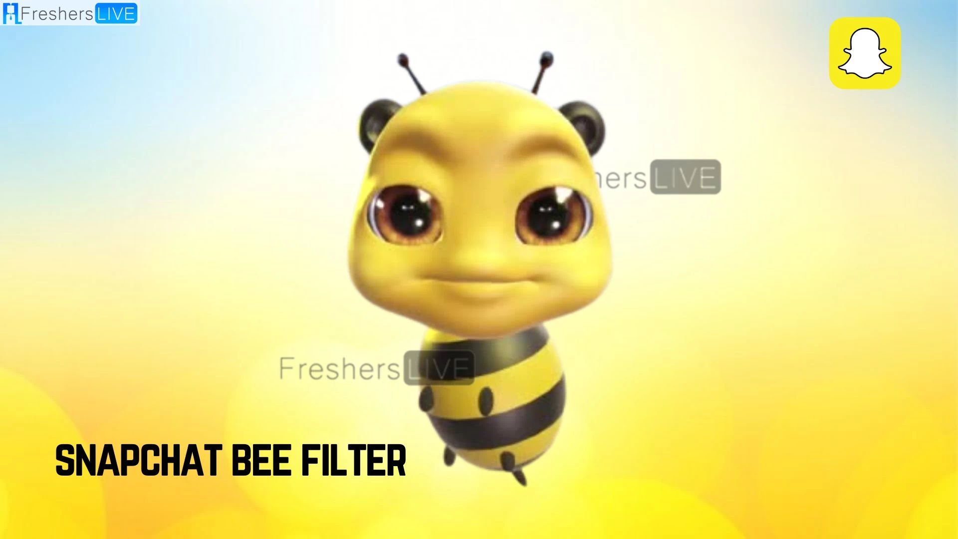 Snapchat Bee Filter, ¿Cómo obtener Bee Filter en Snapchat?