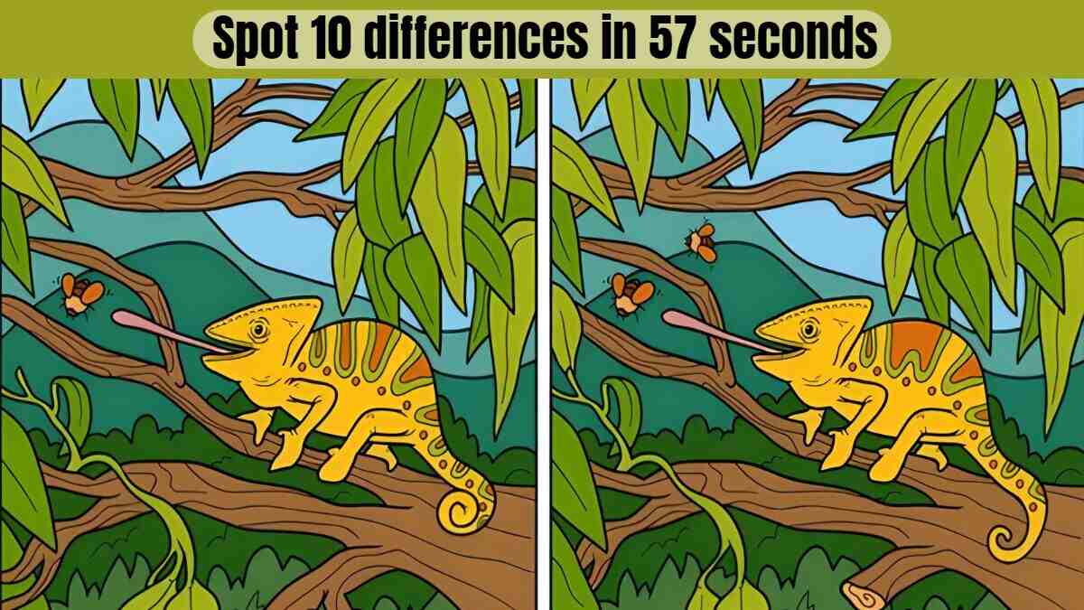 Spot 10 differences in 57 seconds in this mind-blowing challenge