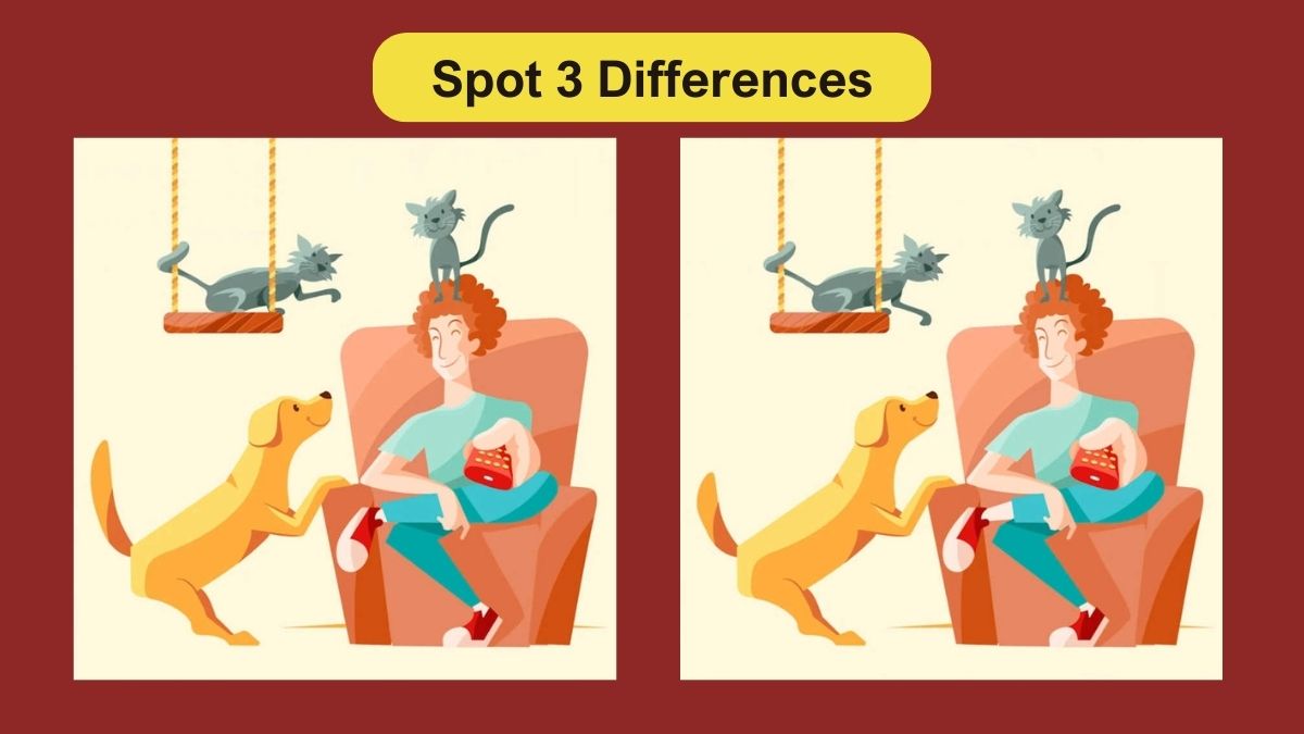Spot 3 differences between the man and his pet