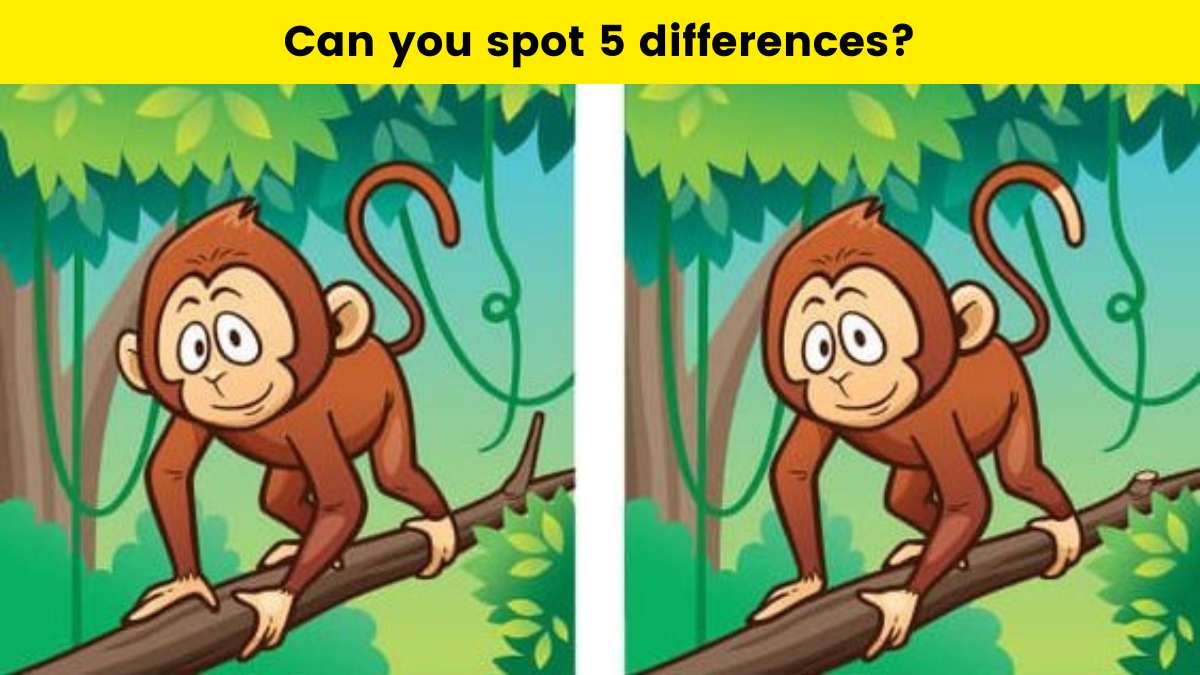 Spot 5 differences in 19 seconds