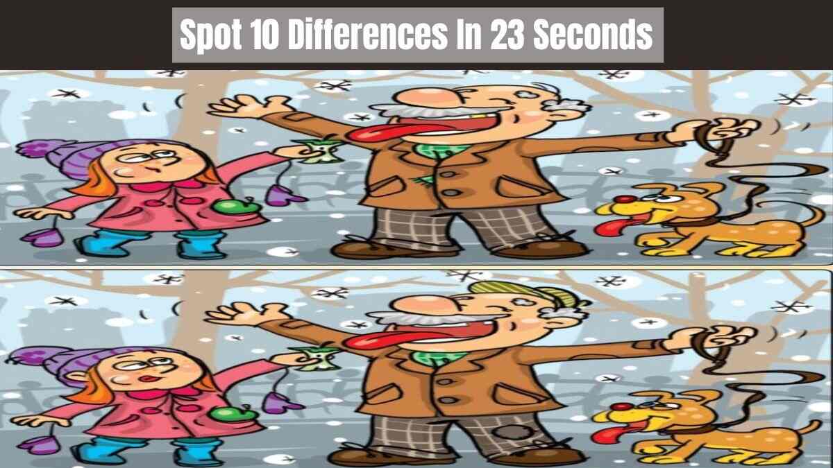 spot 10 differences in 23 seconds