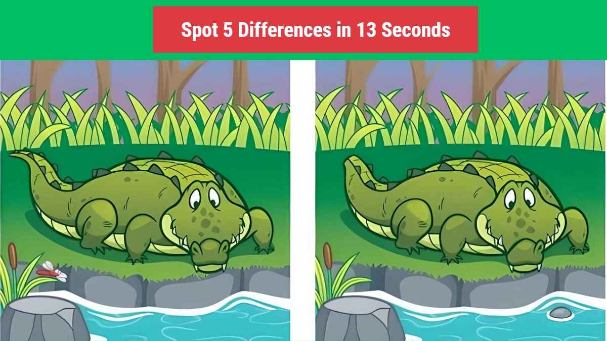 Spot the Difference: Spot 5 Differences in 13 Seconds