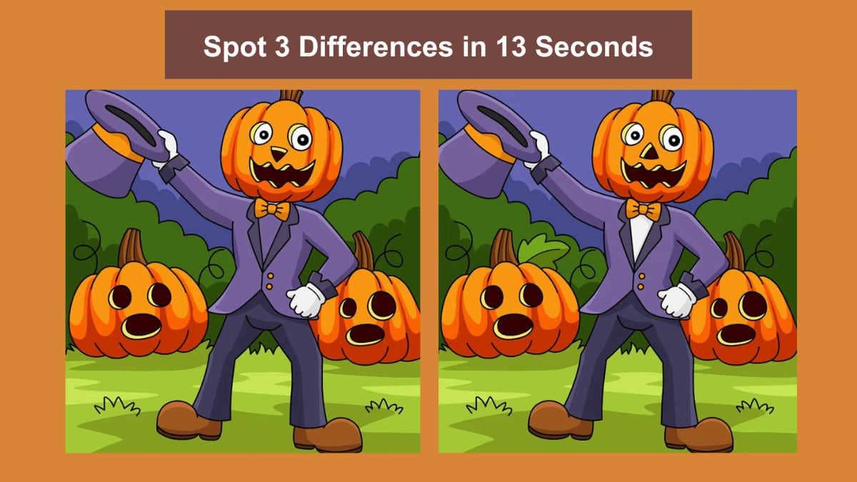Spot the Difference Challenge: Spot 3 Differences in 13 Seconds!