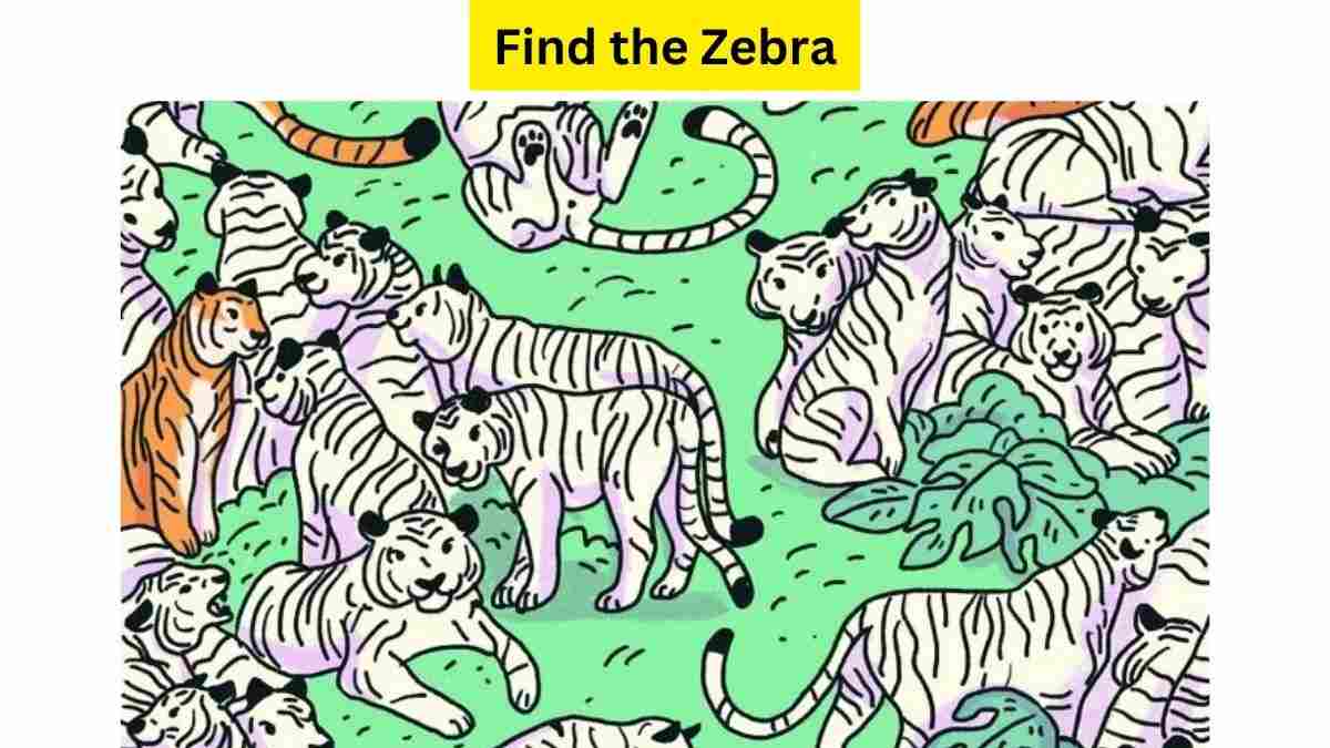 Help Zebra to escape Tigers!