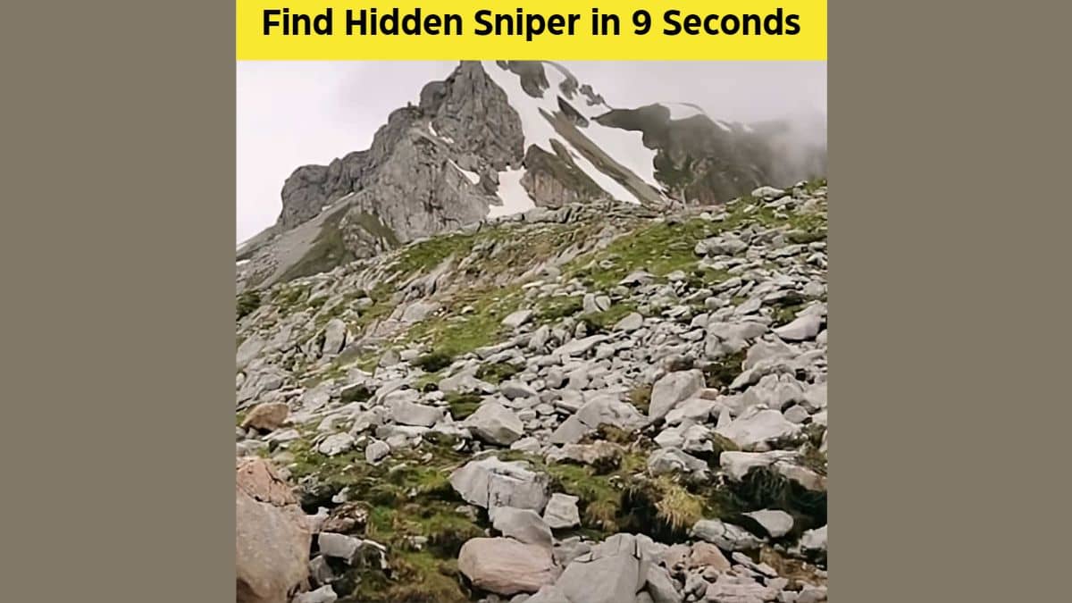Find Hidden Sniper in 9 Seconds
