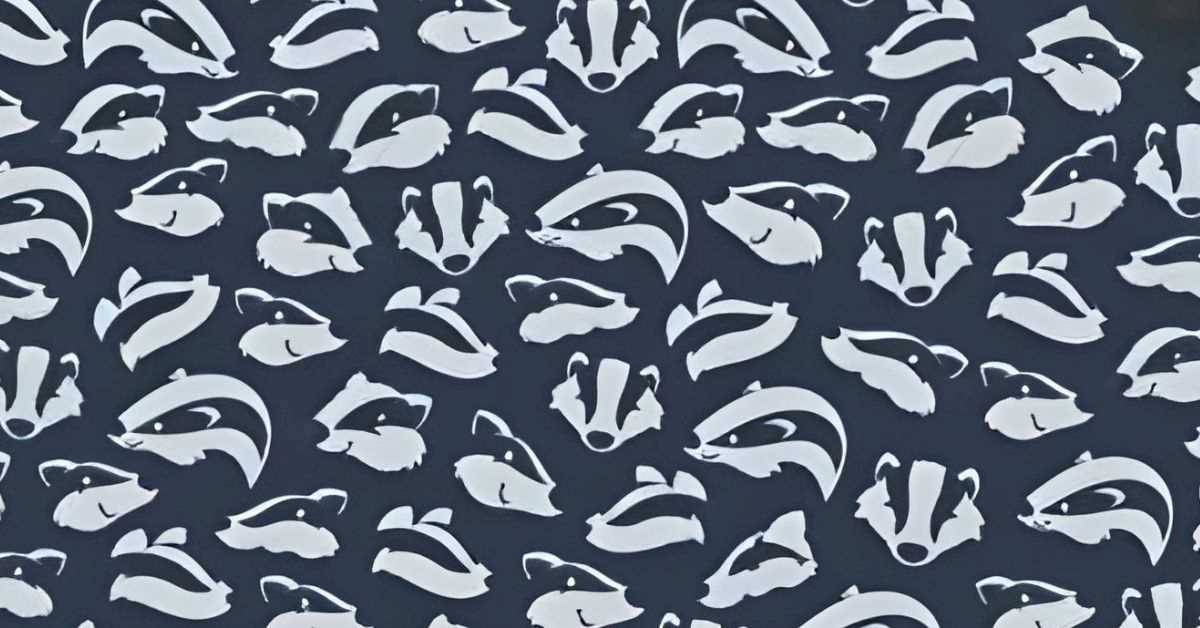 Find the Hidden Dolphin in This Optical Illusionptic