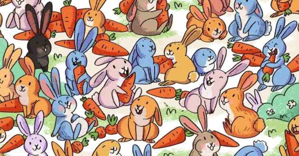 Find the Hidden Hazard Cone Among the Rabbits