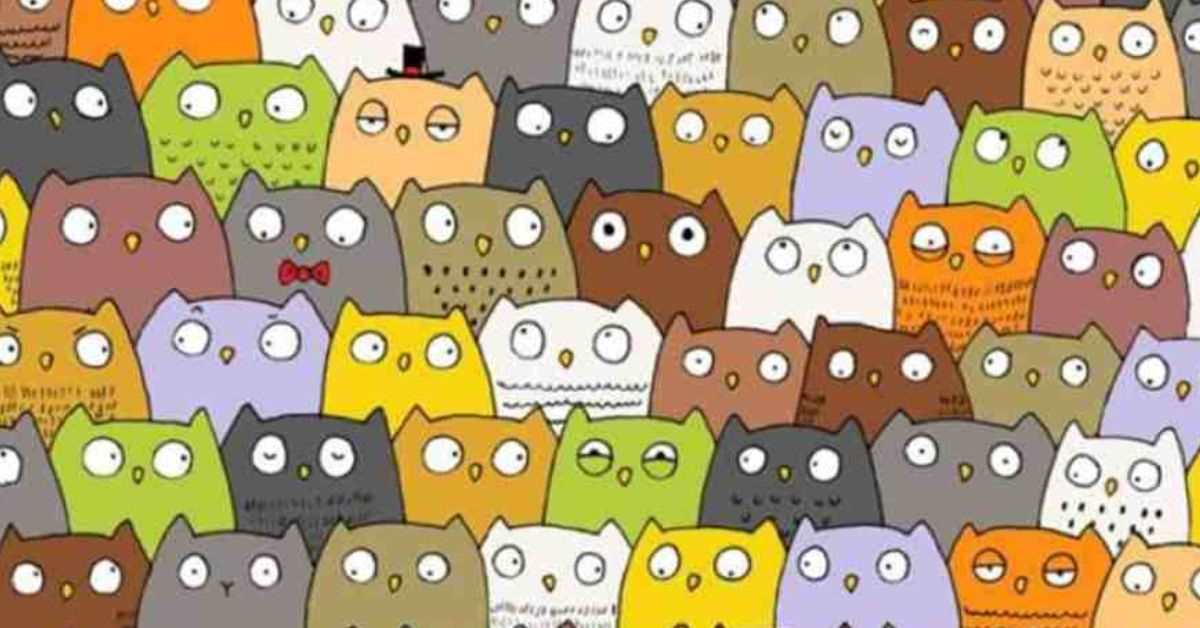 Find the Hidden Cat Among the Owls