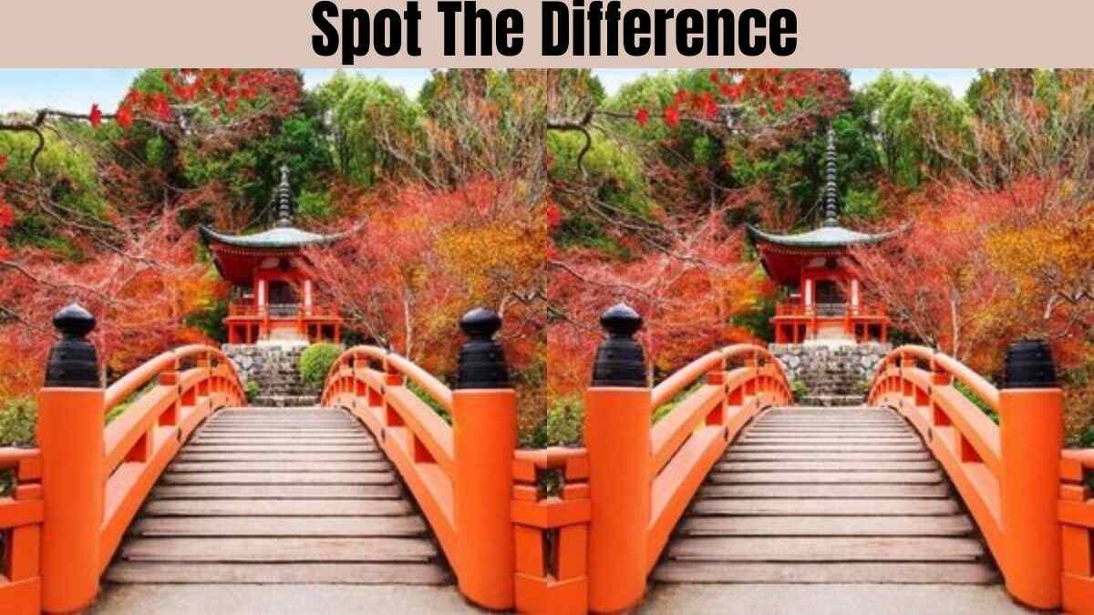 Spot The Difference: Spot 5 Differences in 7 Seconds