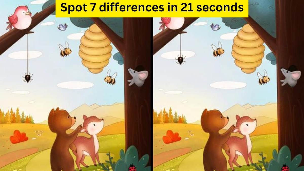 Spot the difference- Spot 7 differences within 21 seconds 