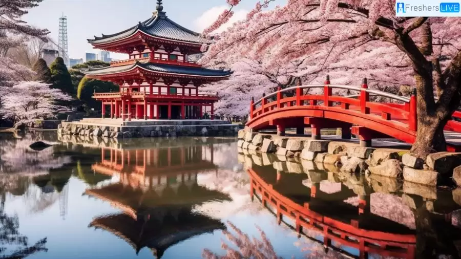 Top 10 Things to do in Japan From Tradition to Modernity