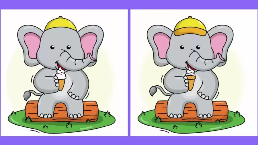 Use your Extra Sharp eyes and spot 3 differences in the Elephant picture within 20 seconds