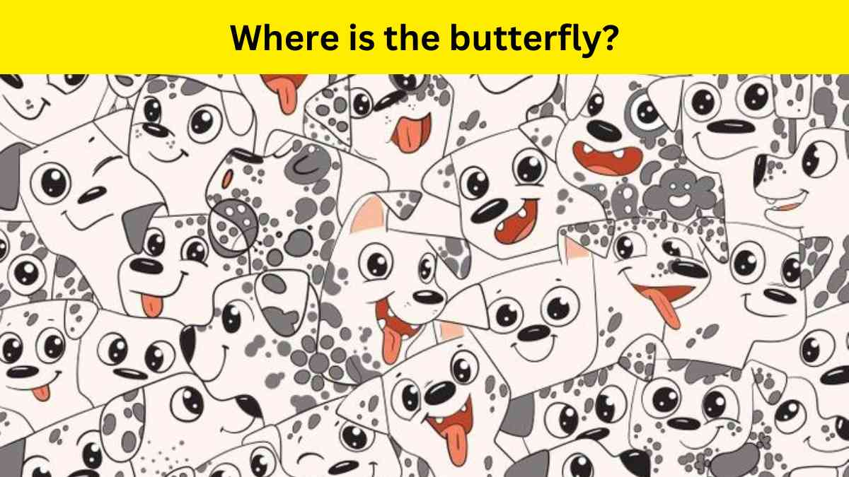 Find the butterfly in 8 seconds