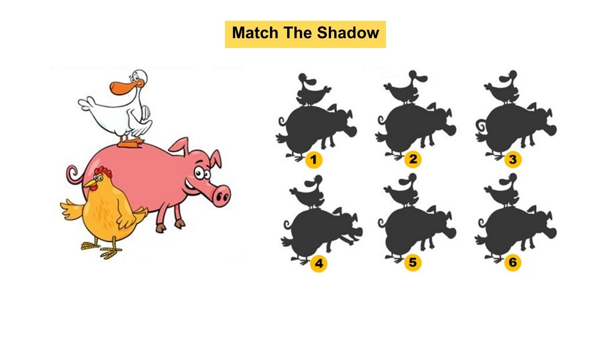 Match The Shadow Puzzle for Testing Your IQ