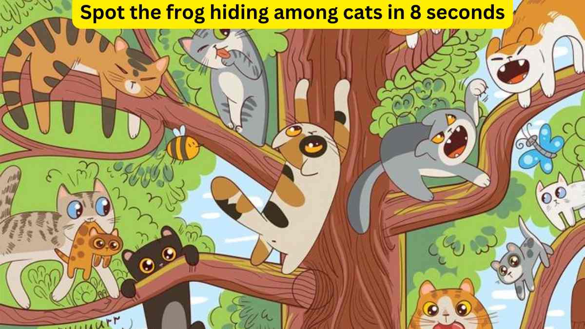 Visual Test- Find the frog hidden among cats in 8 seconds