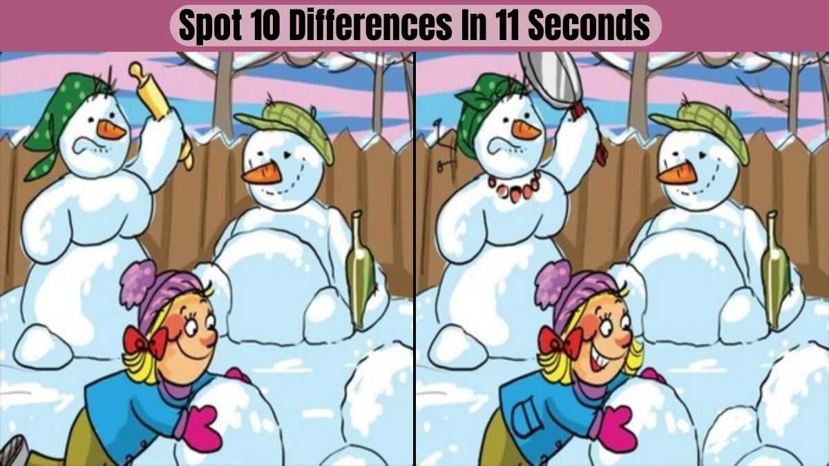 Spot the Difference: Welcome to our thrilling Spot the Difference challenge!