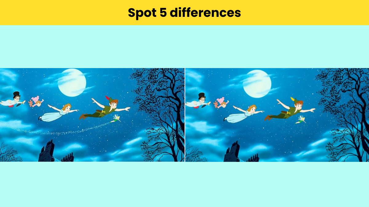 Can you spot 5 differences in the Peter Pan pictures?