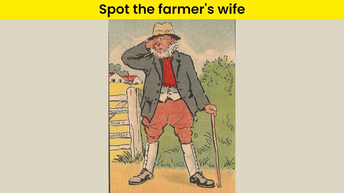 Optical Illusion - Spot the farmer’s wife in 7 seconds