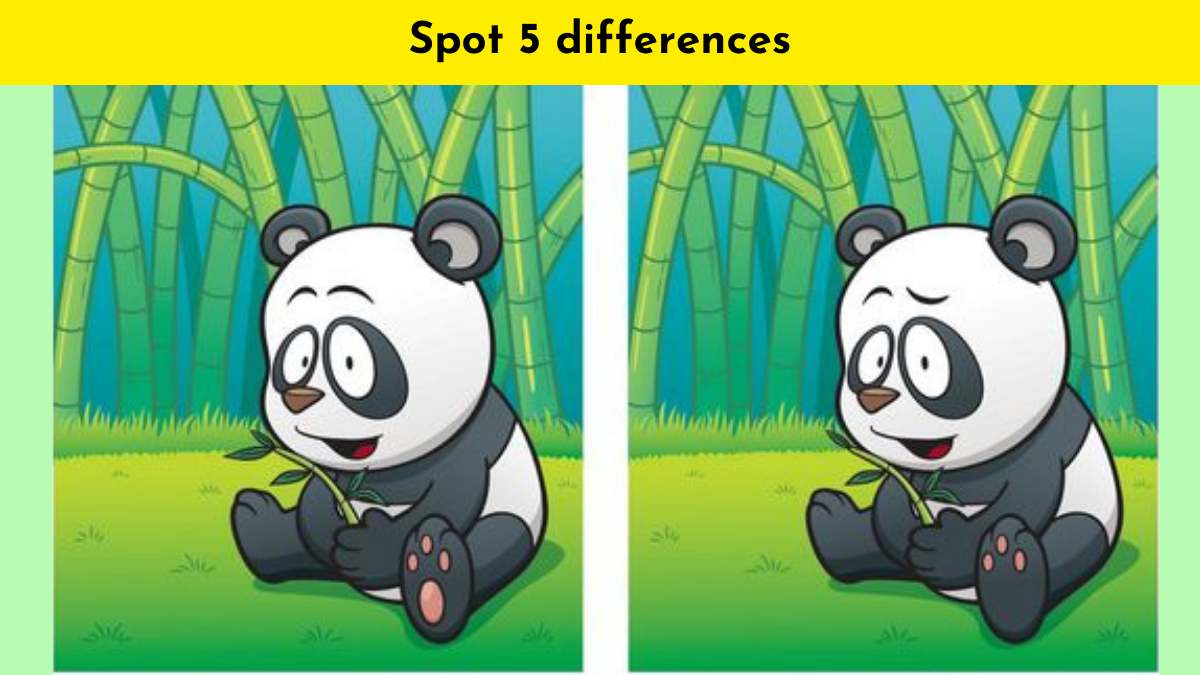 Can you spot 5 differences here?
