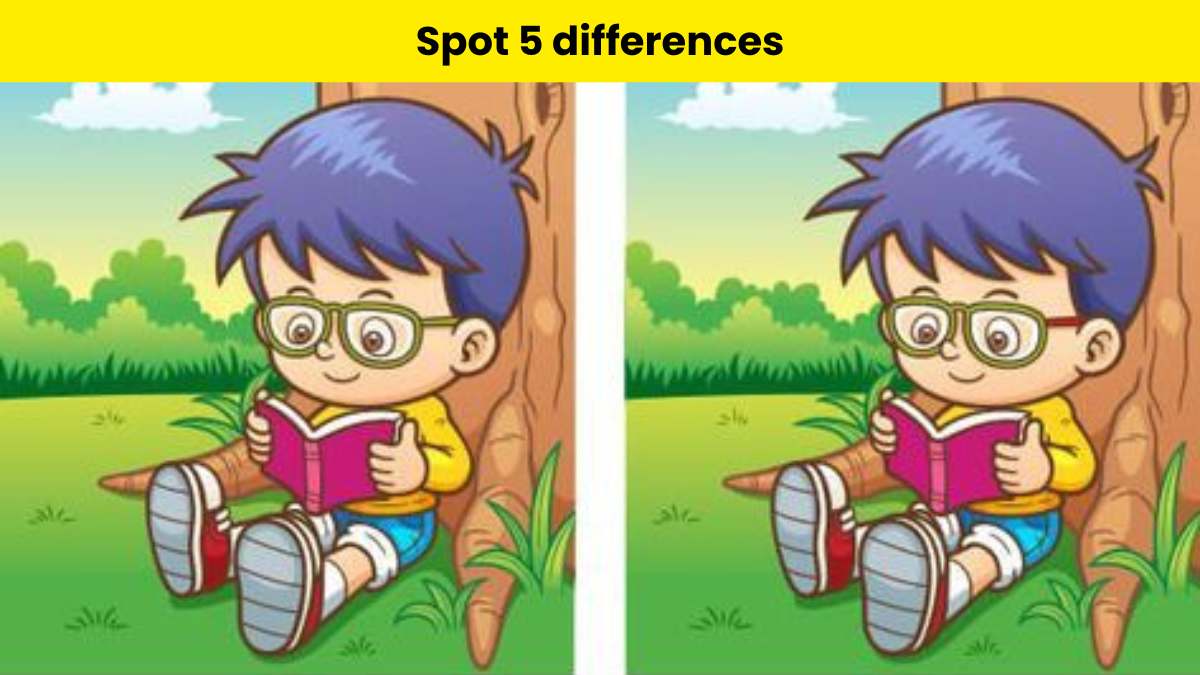 Spot 5 differences in 15 seconds