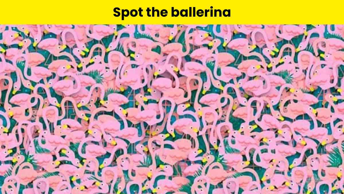 Can you spot the ballerina?