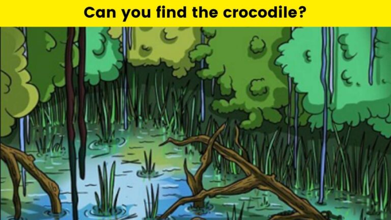 Can you find the crocodike?