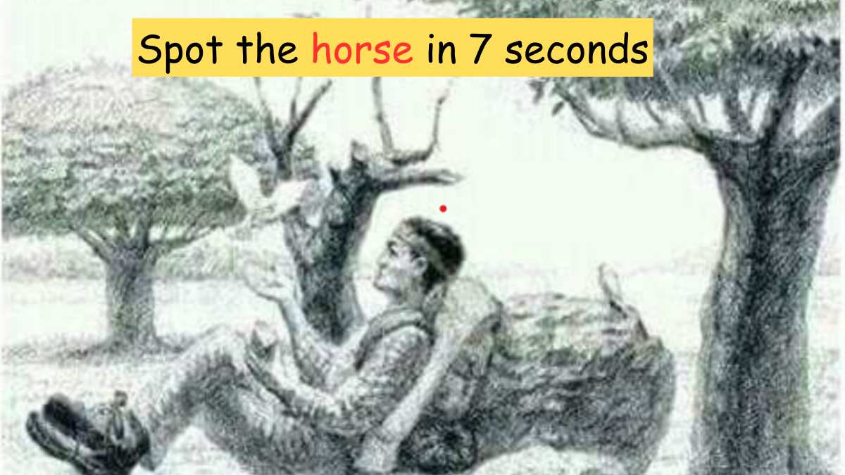 Optical Illusion- Spot the horse in 7 seconds