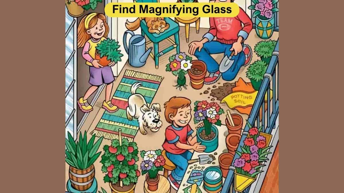 Find magnifying glass in 5 seconds