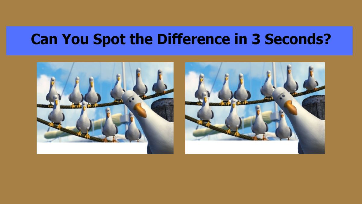 Can you spot the difference in 3 seconds?