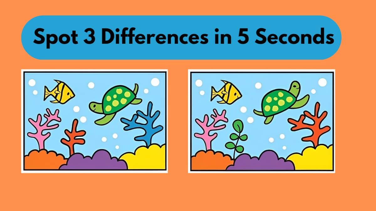 Can You Spot 3 Differences in 5 Seconds?