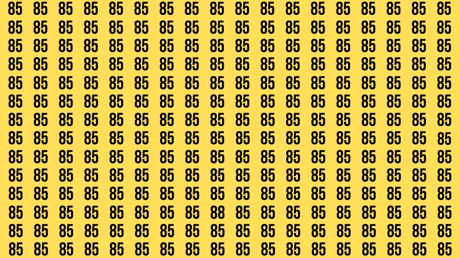 Observation Visual Test: If you have Eagle Eyes Find the Number 88 in 15 Secs