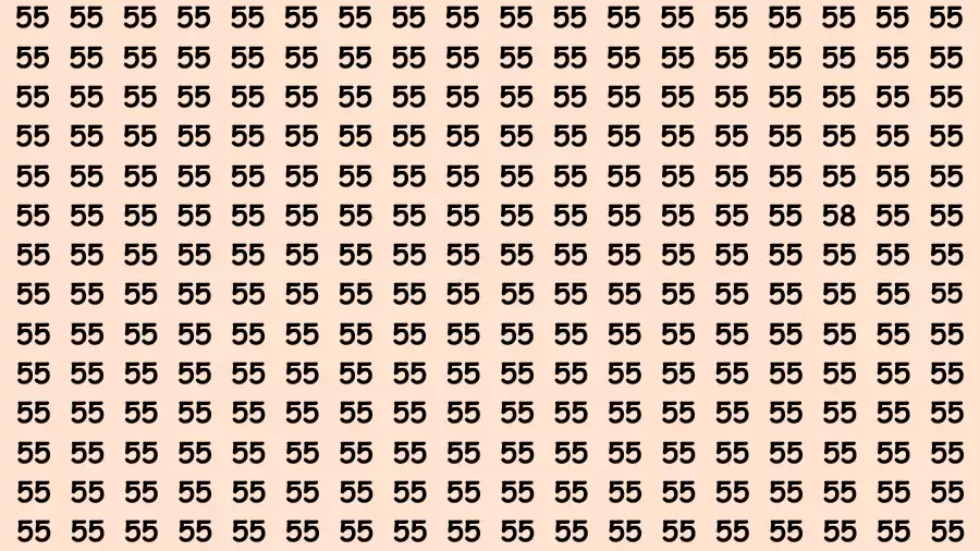 Observation Brain Challenge: If you have Hawk Eyes Find the Number 58 among 55 in 15 Secs