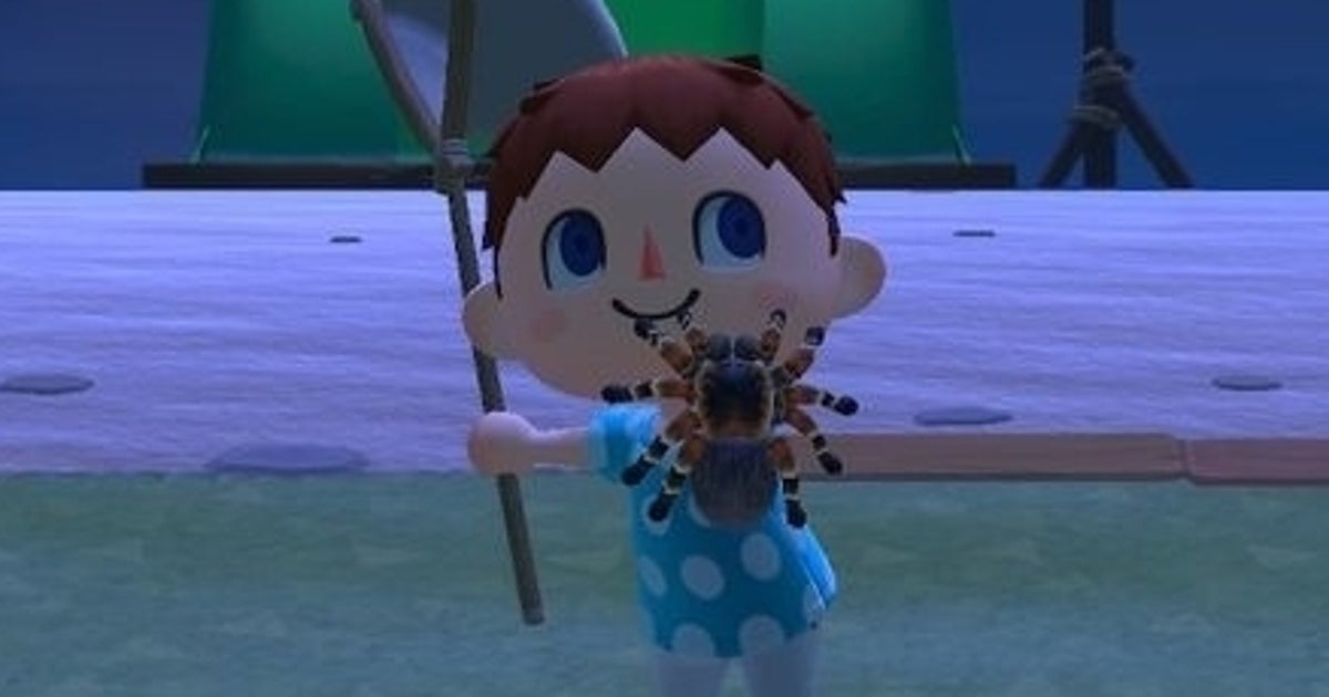 Animal Crossing Tarantulas: How to catch, spawn and get Tarantula Island - or make your own