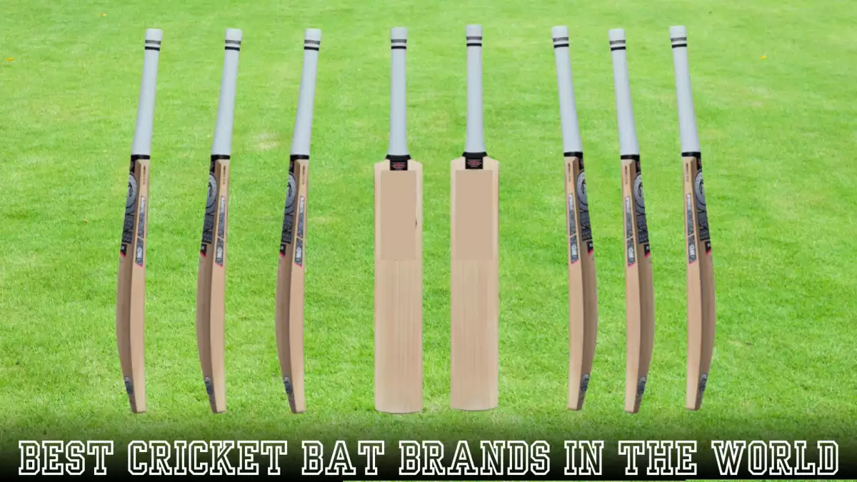Best Cricket Bat Brands in the World - Top 10 Picks