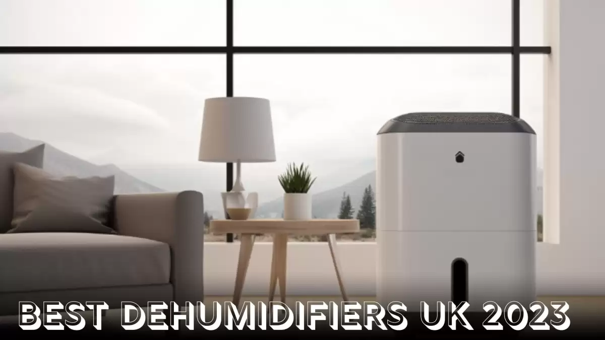 Best Dehumidifiers UK 2023 - Dry Comfort, Healthy Homes
