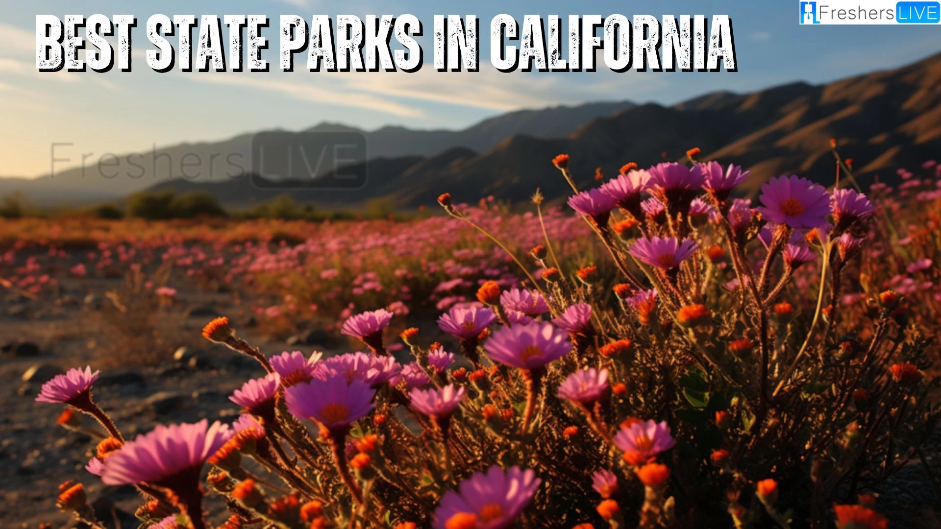 Best State Parks in California - Top 10 Breathtaking Natural Wonders