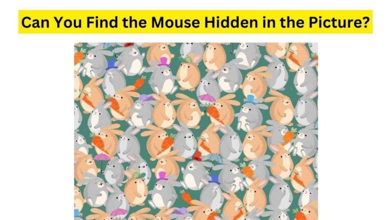 Do you see a mouse here?