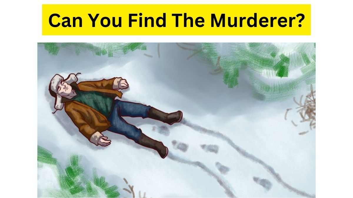 Can You Find The Murderer Of The Old Man?
