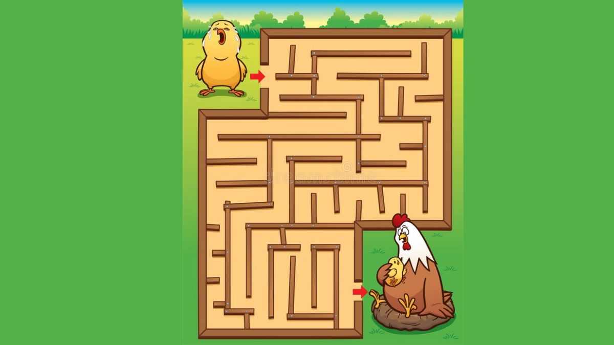 Brain Teaser Puzzle Maze- Guide the lost chick to its mother in 14 seconds