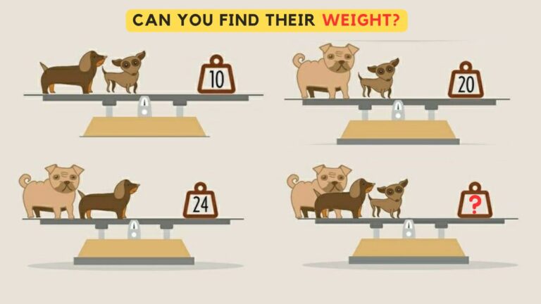 Brain Teaser for IQ Test- Find the weight of three dogs in 20 seconds