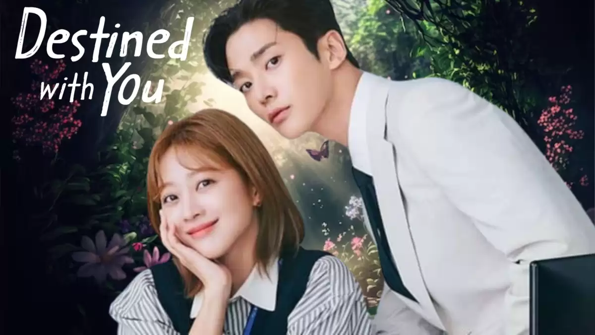 Destined With You Ending Explained, Release Date, Cast, Review, Plot, Where to Watch, and More