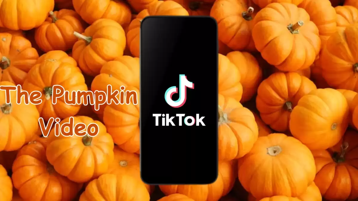 The Pumpkin Video Explained, What is the Pumpkin Video?  Spookly the Square Pumpkin Video