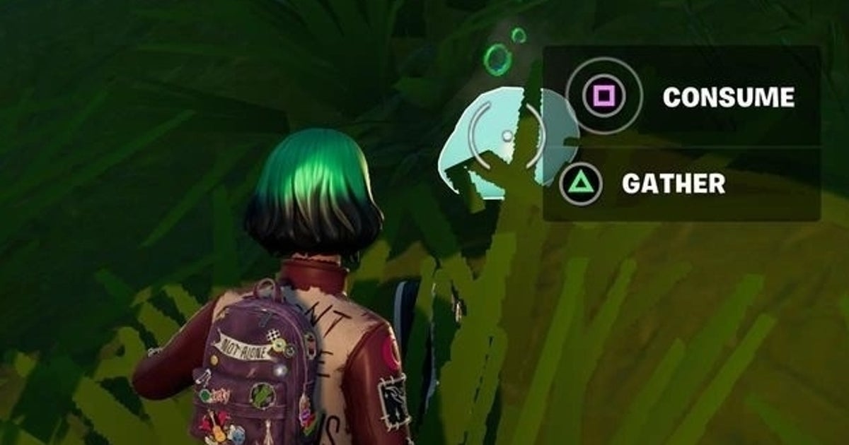 Fortnite - Collect foraged items locations: Where to forage for food, need supplies explained