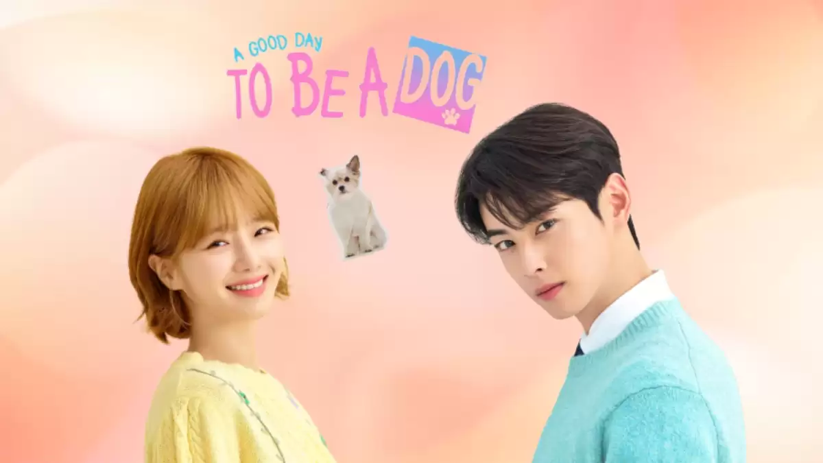 A Good Day To Be A Dog Episode 3 Ending Explained, Release Date, Cast, Plot, Summary, Where to Watch and More