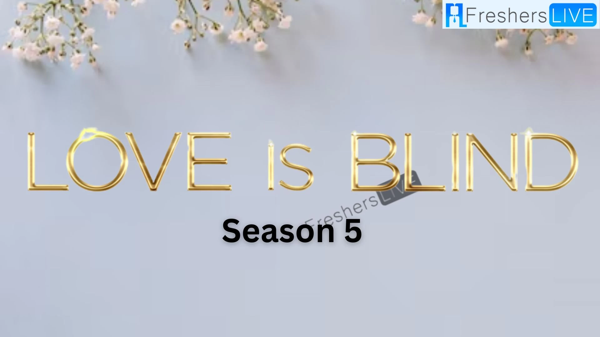Love Is Blind Season 5 Episodes 5-7 Recap