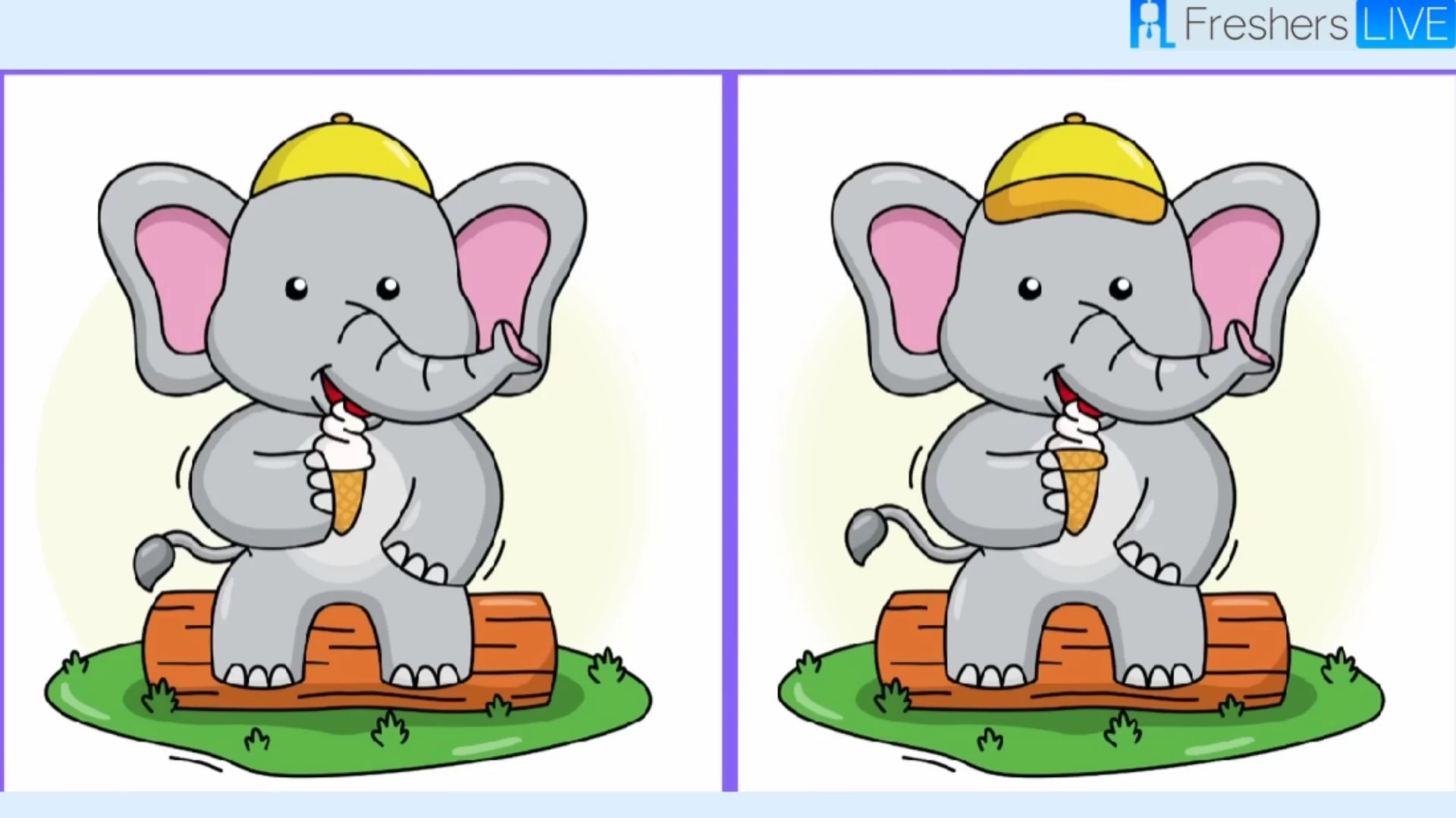 Only 1% of attentive people can spot 5 differences in the picture of an Elephant in 20 seconds!